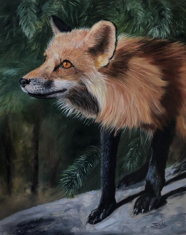 Jan Priddy - Sunlit Fox - Member of James River Art League